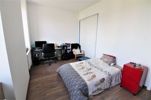 photo no. 7