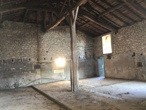 photo no. 19