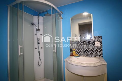 photo no. 11