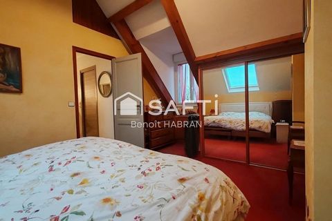 photo no. 11