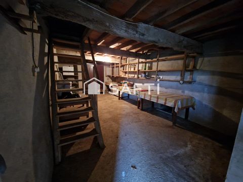 photo no. 12