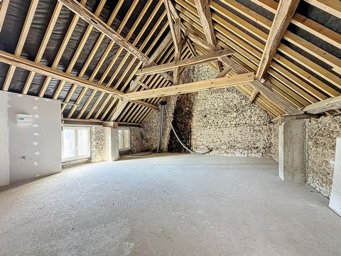 photo no. 13