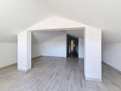 photo no. 9