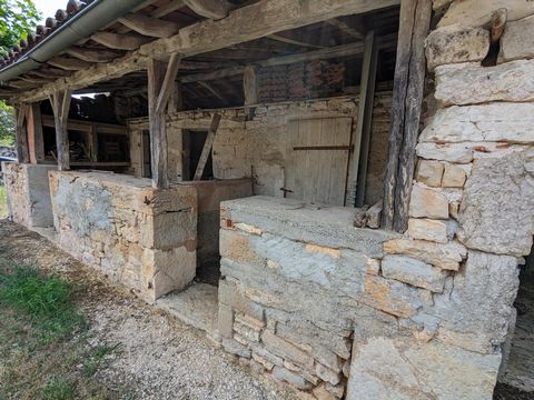 photo no. 14