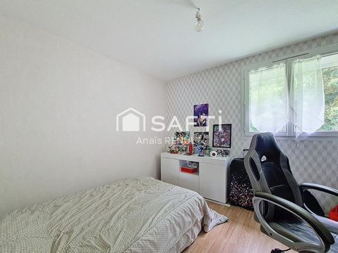 photo no. 9