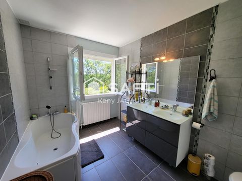 photo no. 14