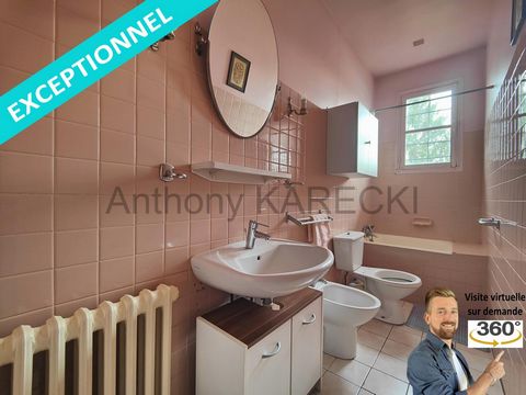 photo no. 8