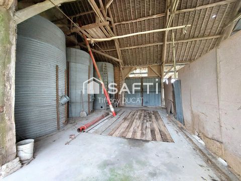 photo no. 4
