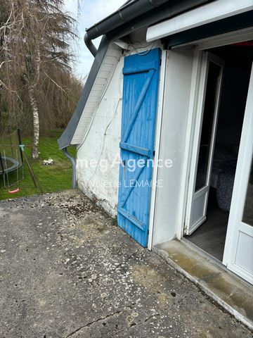 photo no. 11