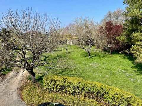 photo no. 13