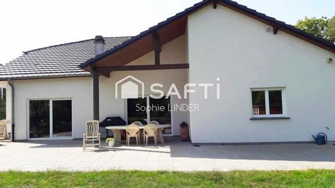 photo no. 10