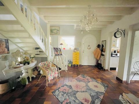 photo no. 6