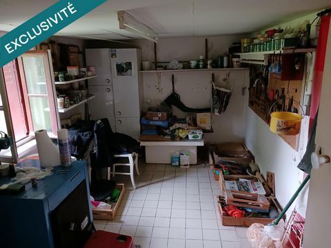 photo no. 11