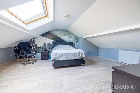 photo no. 13