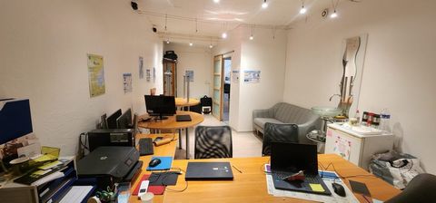 photo no. 10