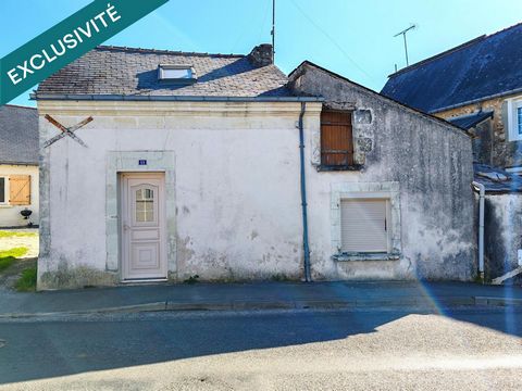 photo no. 5
