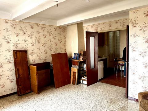 photo no. 2