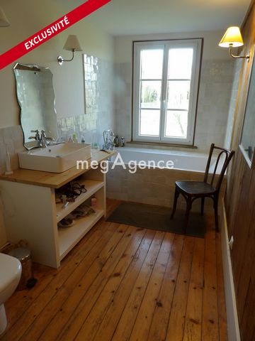 photo no. 11