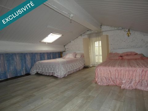 photo no. 11