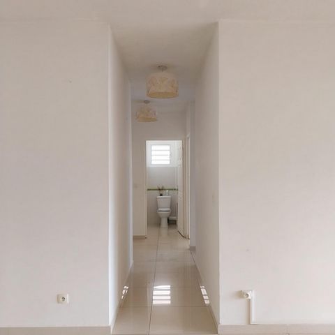 photo no. 7