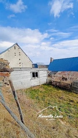 photo no. 10
