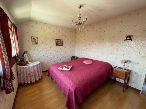 photo no. 6