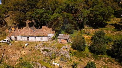 Pequena quintinha com vistas deslumbrantes para o mar. Com uma área de 7640 m2 e uma ruina para recuperar com 107 m2. Com uma excelente exposição solar e de fácil acesso. No local existe uma nascente de água, eletricidade da rede. Algumas árvores de ...