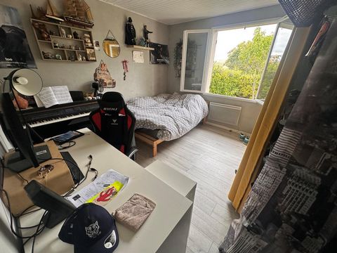 photo no. 7