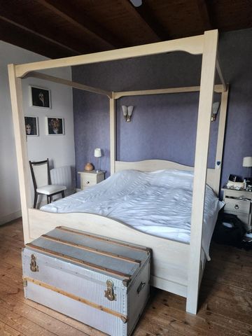 photo no. 17