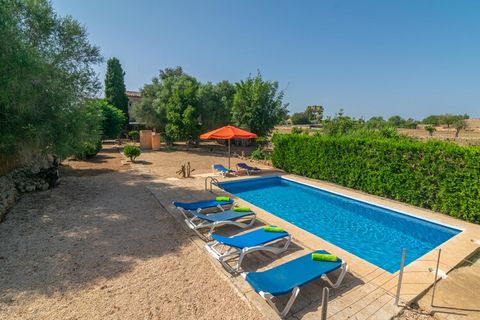 The outdoor area of the property is ideal to enjoy the Mediterranean climate. The private chlorine swimming pool measures 4mx8m and has a depth between 1m and 1.85m. Around the pool there are sun loungers where you can relax while sunbathing, a barbe...