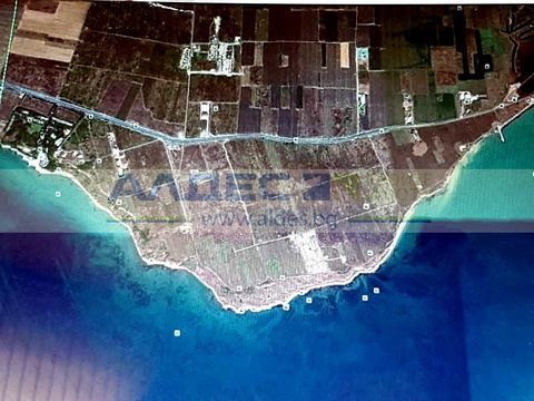 LAND PROPERTY WITH THE STATUS OF AGRICULTURAL LAND, with asphalt access, LOCATED IN THE LAHANA AREA - the upcoming most prestigious neighborhood of Burgas. 650 m from the main road E87 /Burgas-Pomorie/, 220 m from the BEACH, 3 km. from Pomorie, 15 km...