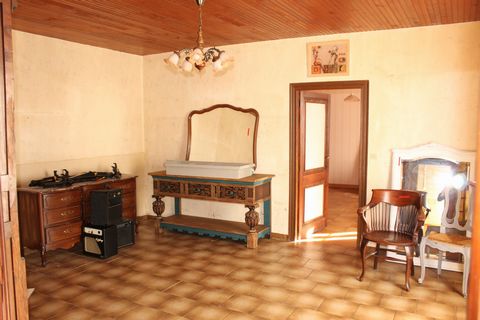 photo no. 9