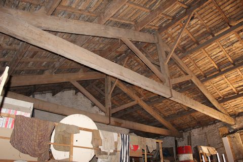 photo no. 14