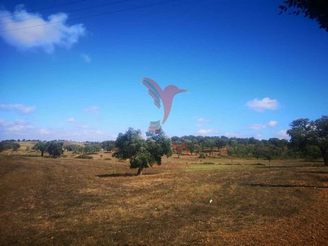 Rustic land of 30.5 hectares with montado, ideal for agricultural or agrotourism project, in Cercal do Alentejo, in the interior of the Alentejo coast region Rustic land with cork oak forest, in the parish of Cercal do Alentejo, interior area of the ...