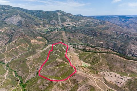 Identificação do imóvel: ZMPT559015 Rustic Land with 81.000m², Monchique Come and discover this rustic land of 81000m², located in the parish of Alferce, in the Serra de Monchique, perfect for those seeking an excellent investment opportunity in the ...
