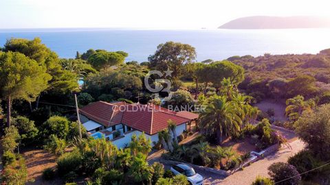 LOC. BARABARCA - Just 2 km from Capoliveri and 3 km from Porto Azzurro, we present for Sale a semi-detached villa with sea view surrounded by gardens on four levels with Mediterranean and exotic plants. The property is located at the end of a closed-...