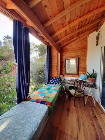 Wonderfull Rural House in the natural Park of Montnegre for 5 person, a relaxed, intimate and fresh place to stay. 7 minutes by car from beautiful and natural beaches and 35 from Barcelona, with incredible views of the Mediterranean's Sea and forest ...