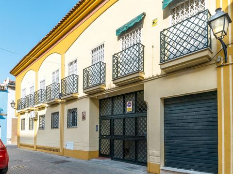 Our Feijoo apartment is located near the river, in a very local area, which makes the experience of visiting Malaga much better. Feijoo is a quiet street and the apartment faces the other side. As soon as you cross the river (just 50m away) you will ...