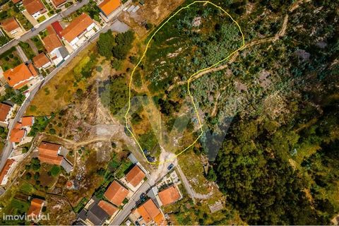This land w/ 7830 m2, with access by 2 streets , is located in a very quiet residential area. It is, however, situated in a very central place of the parish of Parada de Todeia, since it is: - 1.3 km from the train station 