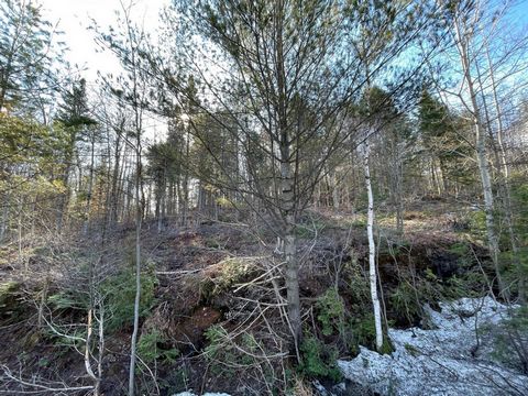 Two large lots totalling 3.44 acres with access to Lac Caroline nearby. Easy access to Morin-Heights and Lachute. Frontage directly on rte 329. If you are looking for a wonderful country project near to all that the Laurentians has to offer this is t...