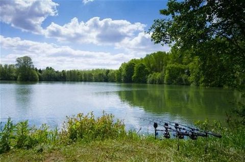 Situated in the department Cotes d'Armor in the north of France close to the town of Sery Les Mezieres is this beautifully maintained carp fishing lake, set in amongst 8 hectares of woodland offering a paradise for wildlife, the lake has facilities B...