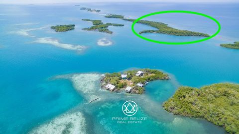 Hammerhead Caye, this island is ready for any hotel developer or anyone looking to build an island dream home. Located within 8 miles off the coast of Hopkins, a small tourist fishing village in the south of Belize. The name was given because of its ...