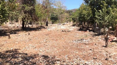 Lote Alfonso is a large 692.36 m2 lot located just a 3 minute walk to beautiful Playa Platanitos. Prime location close to utilities and the main highway just 2 hours north of Puerto Vallarta. Peaks of ocean views can be seen through the trees that gr...