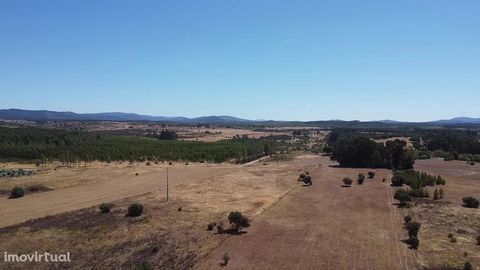 Rustic Land - Ribeiro - 2.35 ha - Penamacor Excellent land for agriculture, situated right on the border between Fundão and Penamacor. It confines with a small stream that has abundant water during winter. Flat terrain, with beautiful views and easy ...