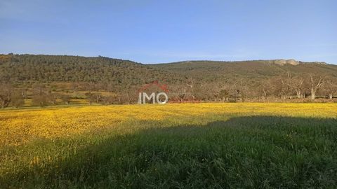 Rustic building located near the village of Porto da Espada, municipality of Marvão. The rustic part has an area of 24250m2 and the urban part, used for storages and storage, has 256,50m2, with the possibility of changing the use to housing/tourism. ...