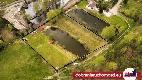 Beautiful building plot for sale in a scenic area! We offer you a building plot with an area of 4184 m2 in Wałdowo Królewskie. The plot has a rectangular shape with a length of 70 and a width of 60, it is fenced, and within it there is a beautiful, s...