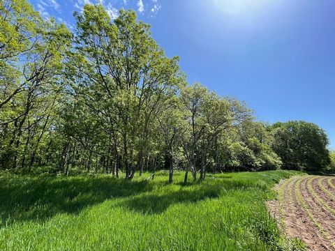 If you have been desiring some of the finest tillable acreage along with first class whitetail hunting in western Douglas County, look no further than Deer Creek Farm & Rec tract!This 128.67 +/- acre tract consists of 68.78 acres of tillable acreage ...
