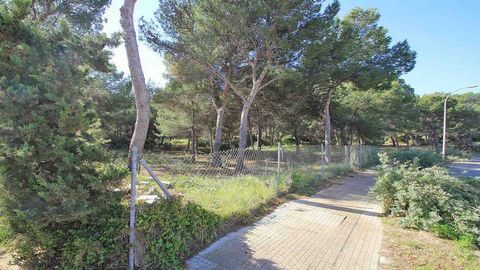 Terreno edificable Mallorca: Este hermoso terreno edificable s & oacute;lo puede ser construido con un edificio para instalaciones p & uacute;blicas. Se encuentra cerca del campo de golf de Santa Ponsa, en el suroeste de Mallorca. Hay dos parcelas co...