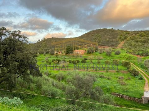 A Spectacular Rural Paradise in Montes de Cima: 9 Hectares with Rivers, Fountains and Infinite Potential Imagine an idyllic 9-hectare getaway in Montes de Cima, where lush nature meets the practicality of modern life. This unique plot offers an unpar...