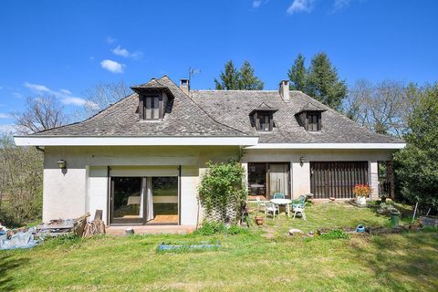 photo no. 19